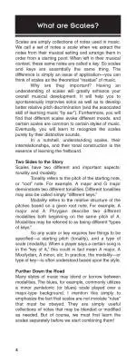The Ultimate Scale Book - Stetina - Guitar TAB - Book