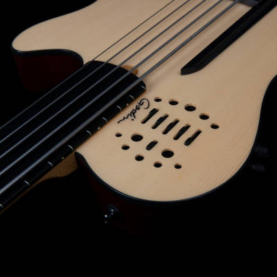 A5 Ultra Natural 5-String Fretless Acoustic/Electric Bass with Gigbag