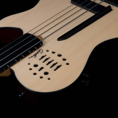 A4 Ultra Natural Fretless Acoustic/Electric Bass with Gigbag