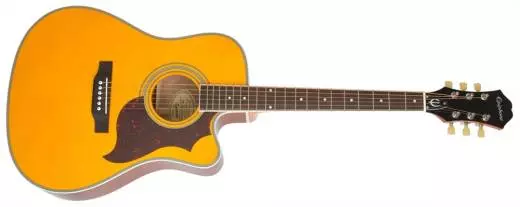 FT-350SCE Acoustic/Electric w/ Min-e-Tune - Natural