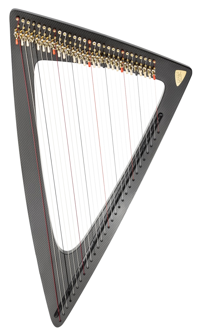 Salvi Harps Delta C Electric Harp With Carbon Fiber Body | Long & McQuade