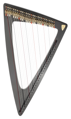 Delta C Electric Harp with Carbon Fiber Body
