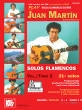 Mel Bay - Play Solo Flamenco Guitar with Juan Martin, Vol. 2 - Martin - Guitar - Book\/Media Online