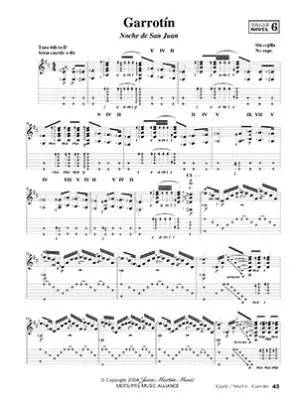 Play Solo Flamenco Guitar with Juan Martin, Vol. 2 - Martin - Guitar - Book/Media Online
