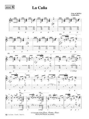 Play Solo Flamenco Guitar with Juan Martin, Vol. 2 - Martin - Guitar - Book/Media Online