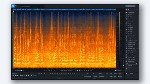 RX 9 Standard Audio Repair Program - Download