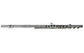 Di Zhao Flutes - DZ100 Student Flute Offset G, Closed Hole