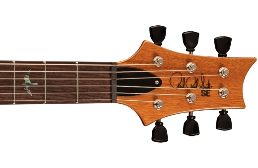 SE Paul\'s Guitar with Gigbag - Faded Blue Burst