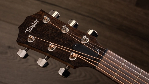 GTe Blacktop Walnut / Spruce Acoustic-Electric Guitar with AeroCase
