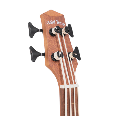 Micro Bass 23 Fretless with Gigbag