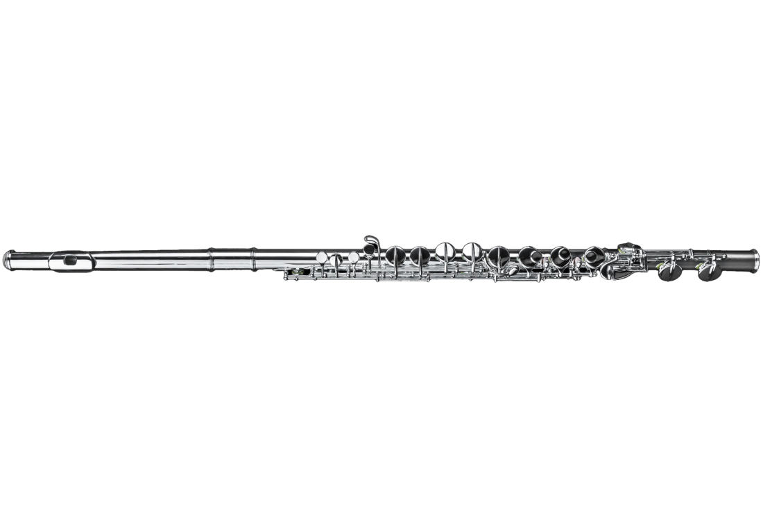DZA100 Alto Flute Straight and Curved Headjoint - Silver Plated Body