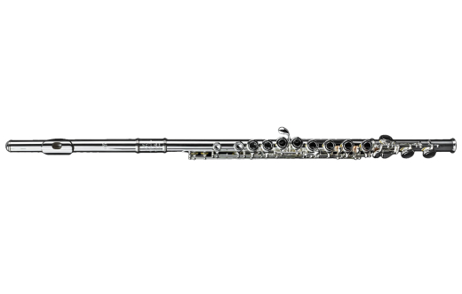 Di Zhao Flutes - DZ100 Student Flute, Offset G, C Foot Joint