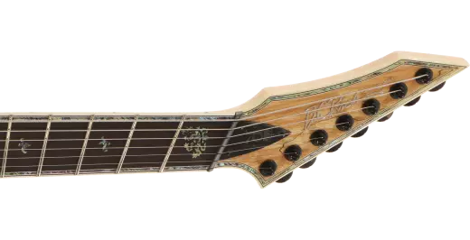 Shredzilla 7 Prophecy Archtop Fanned Frets - Spalted Maple