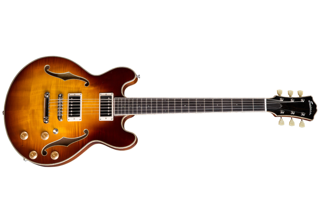 T184MX Thinline Hollowbody Electric Guitar with Hardshell Case - Goldburst