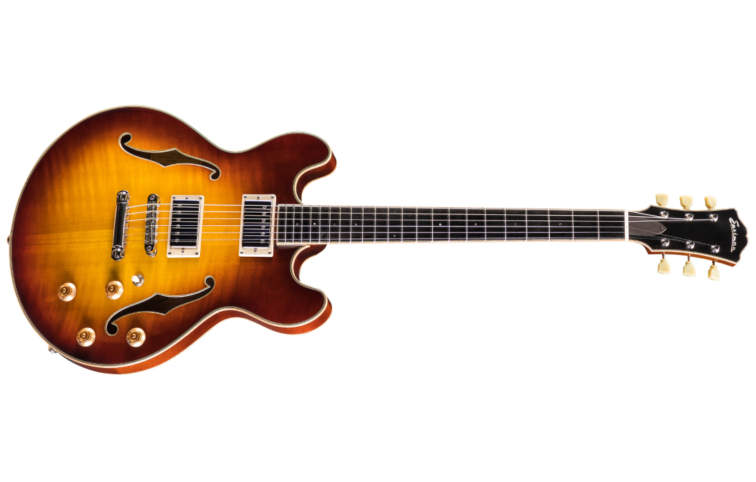 T185MX Thinline Hollowbody Electric Guitar with Hardshell Case - Goldburst