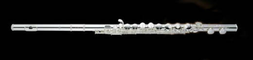 Altus Flutes - 1025SE Alto Flute - Sterling Silver Body - Silver-Plated Mechanism