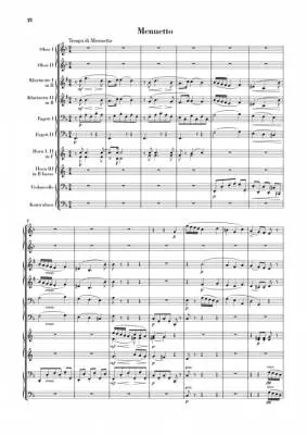 Wind Serenade d minor op. 44 - Dvorak/Rahmer - Study Score - Book