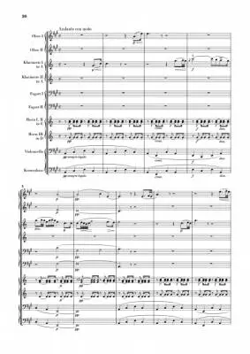 Wind Serenade d minor op. 44 - Dvorak/Rahmer - Study Score - Book