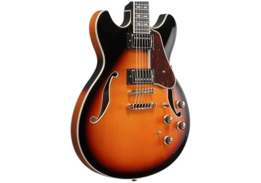 AS113 Artstar Hollowbody Electric Guitar - Brown Sunburst