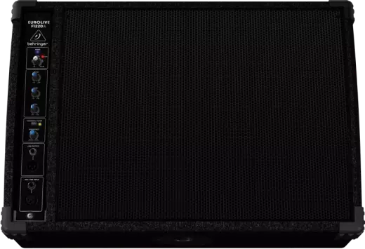 Active 125 Watt Floor Monitor Speaker System - 12 inch