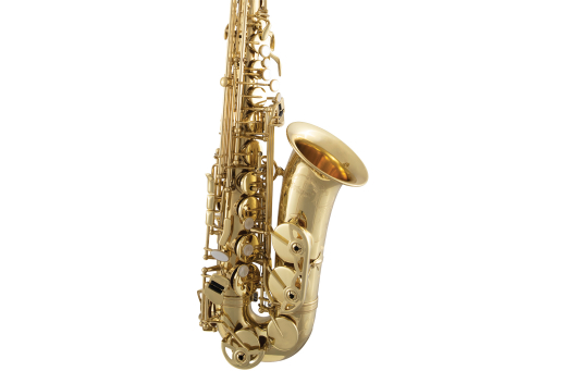 SAS711 Entry Level Professional Alto Saxophone - Yellow Brass