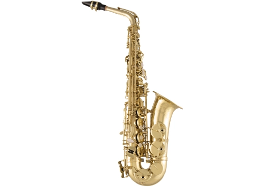 SAS711 Entry Level Professional Alto Saxophone - Yellow Brass