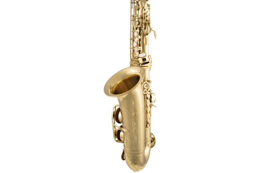 SAS711 Entry Level Professional Alto Saxophone - Yellow Brass