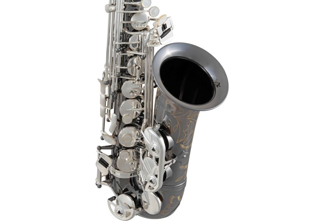 Selmer SAS711 Entry Level Professional Alto Saxophone Black Nickel Long & McQuade