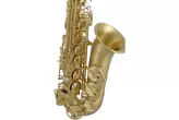 SAS711  Professional Alto Saxophone - Matte Finish
