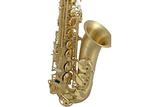SAS711 Entry Level Professional Alto Saxophone - Matte Finish