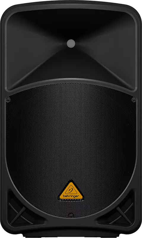 1000 Watt 2 Way PA Speaker System - 15 inch
