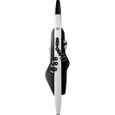 Roland - Roland Aerophone Digital Wind Instrument
