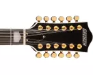 G5422G-12 Electromatic Classic Hollow Body Double-Cut 12-String with Gold Hardware, Laurel Fingerboard - Single Barrel Burst