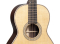 012-28 Modern Deluxe Acoustic Guitar with Case