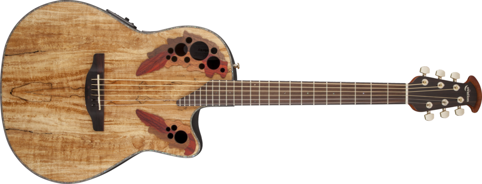 Celebrity Elite+ Mid Depth Acoustic/Electric - Spalted Maple