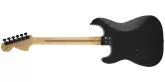 Jim Root Signature Stratocaster - Ebony Fingerboard - Flat Black