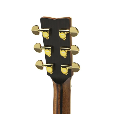 LJ36 ARE II Medium Jumbo Acoustic Guitar