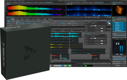 Steinberg - WaveLab Pro 11 Full Version - Boxed