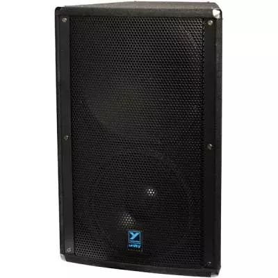 Unity Series Powered Loudspeaker - 15 inch / Unity Horn - 1000 Watts