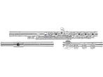 BR-602 958 Silver Flute, Heavy Wall, Open Hole, French Pointed Keys, C# Trill
