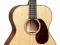 000-18 Modern Deluxe Sitka Spruce/Mahogany Acoustic Guitar with Case