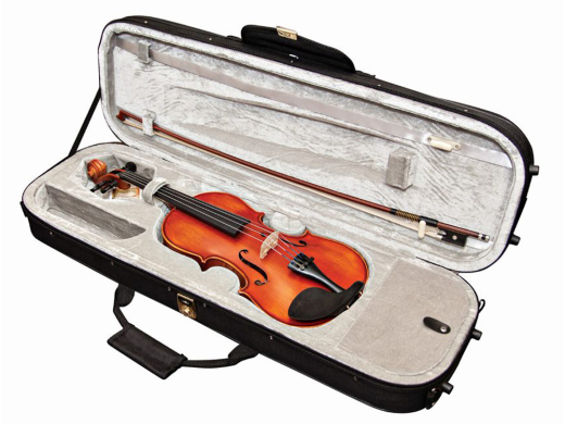 Zev Standard Violin Outfit - 3/4