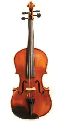 Zev - Standard Violin Outfit - 4/4
