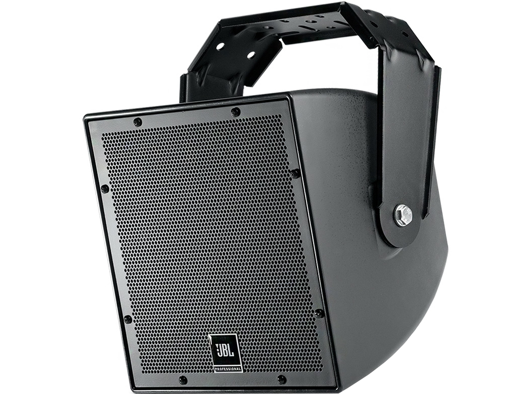 SCS 8 Spatially Cued 2-Way Surround Loudspeaker