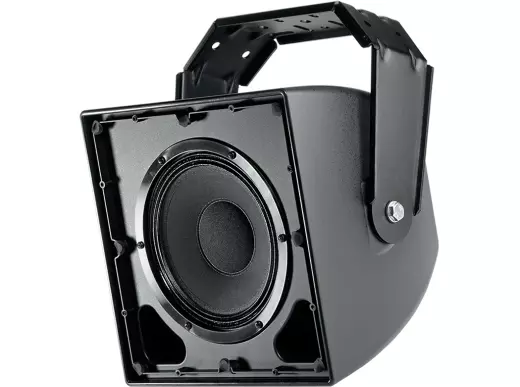 SCS 8 Spatially Cued 2-Way Surround Loudspeaker