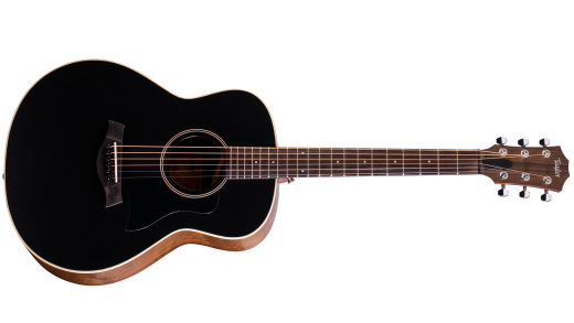 GT Blacktop Walnut / Spruce Acoustic Guitar with AeroCase