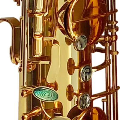 Bass Saxophone - Gold Laquer