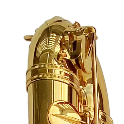 Bass Saxophone - Gold Laquer