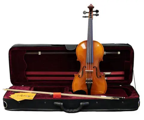 Hora Instruments - Rhapsody Student Violin Outfit 4/4