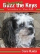 Debra Wanless Music - Christmas Buzz the Keys: Intermediate Jazz Piano Solos - Hunter - Piano - Book